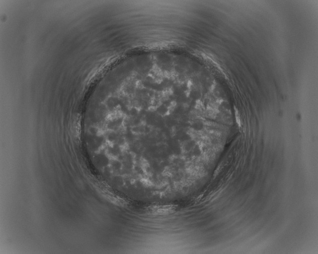 X0000077320495200611101502