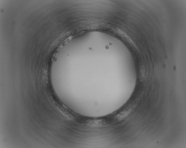 X0000077320497200611101502