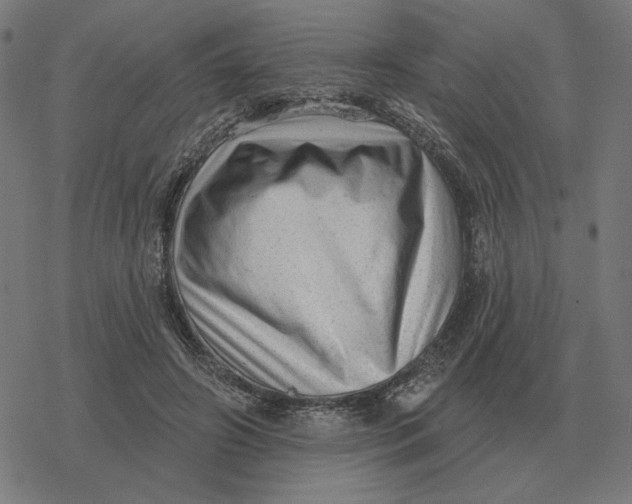 X0000077320498200611101502