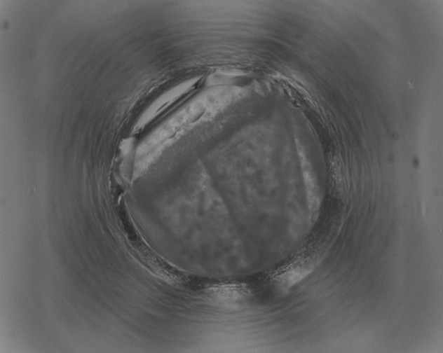 X0000077320499200611101501