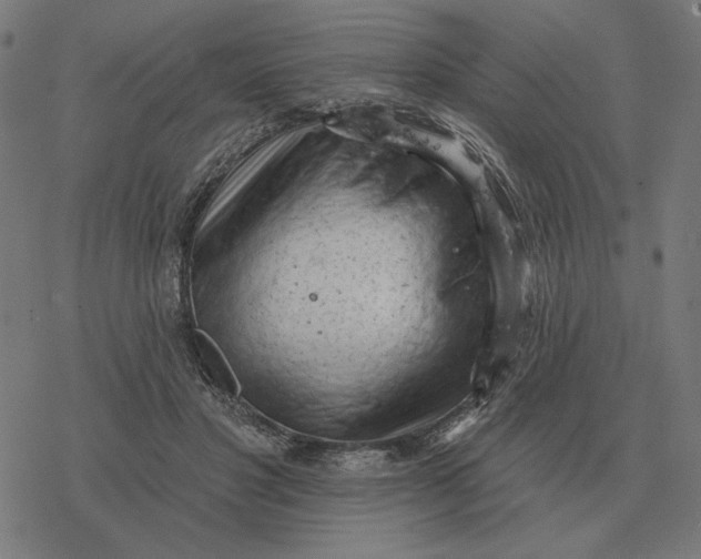 X0000077320501200611101501