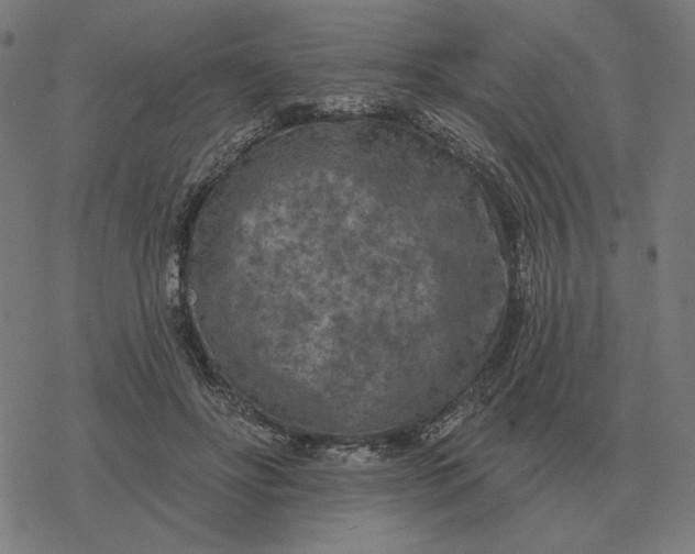 X0000077320502200611101501