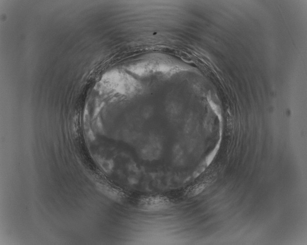 X0000077320503200611101501