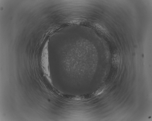 X0000077320504200611101501