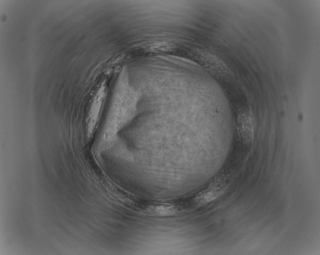 X0000077320506200611101501