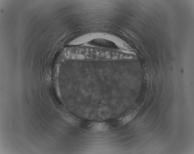 X0000077320507200611101501