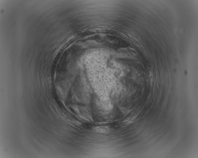 X0000077320508200611101501