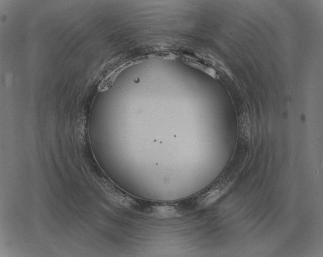 X0000077320509200611101501