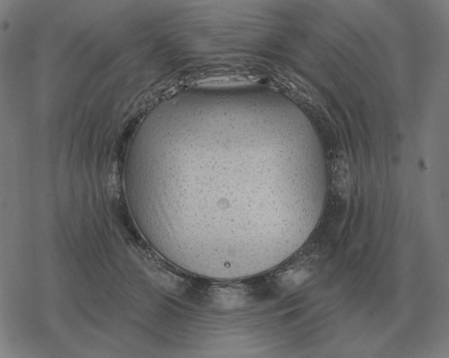 X0000077320510200611101501