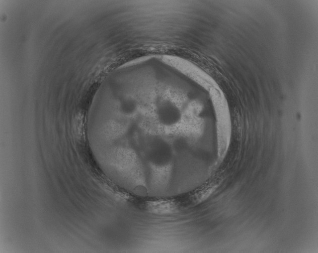 X0000077320511200611101501