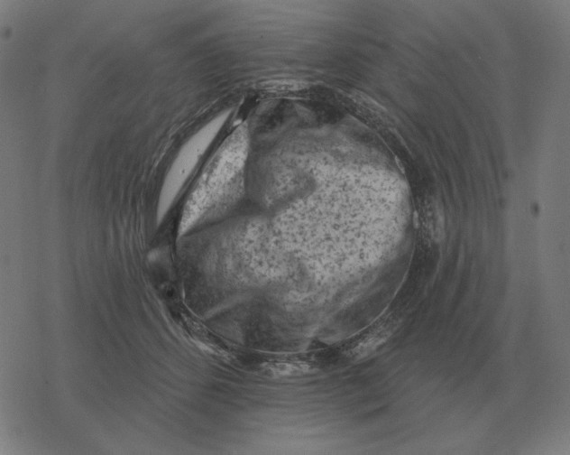 X0000077320512200611101501