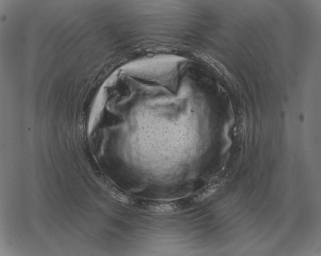 X0000077320513200611101501