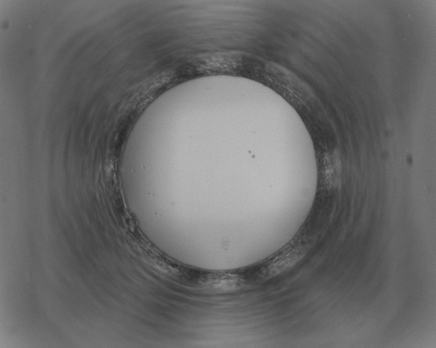 X0000077320514200611101501