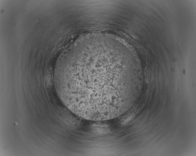 X0000077320515200611101501