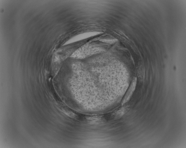 X0000077320516200611101501