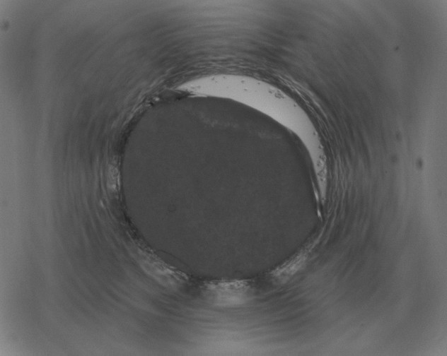 X0000077320517200611101501