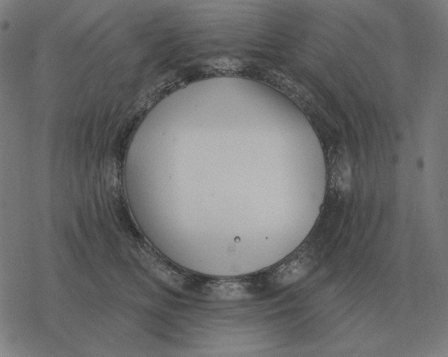 X0000077320518200611101501