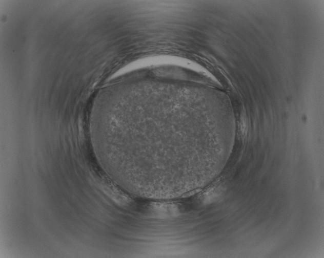 X0000077320520200611101501