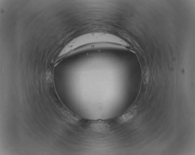 X0000077320521200611101501