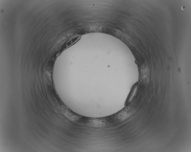 X0000077320522200611101501