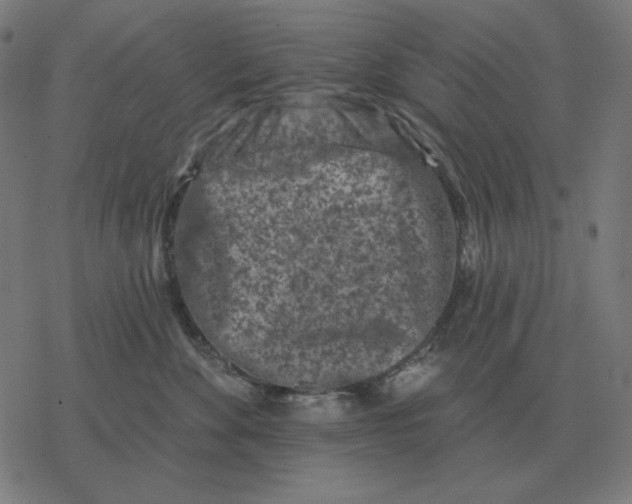 X0000077320524200611101501