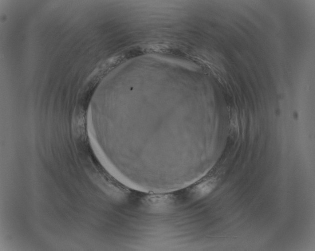 X0000077320526200611101501