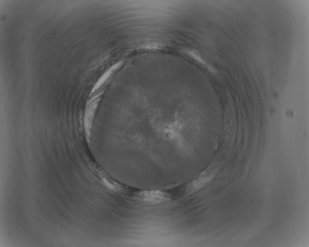 X0000077320528200611101501