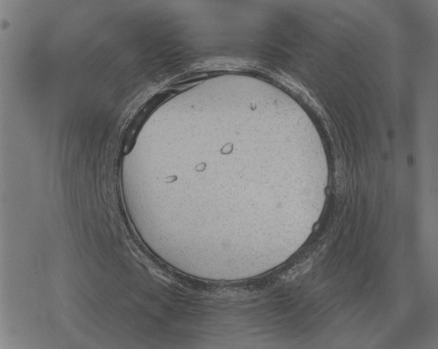 X0000077320529200611101500