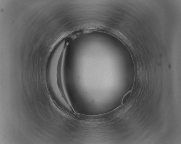 X0000077320530200611101500