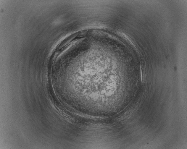 X0000077320531200611101500