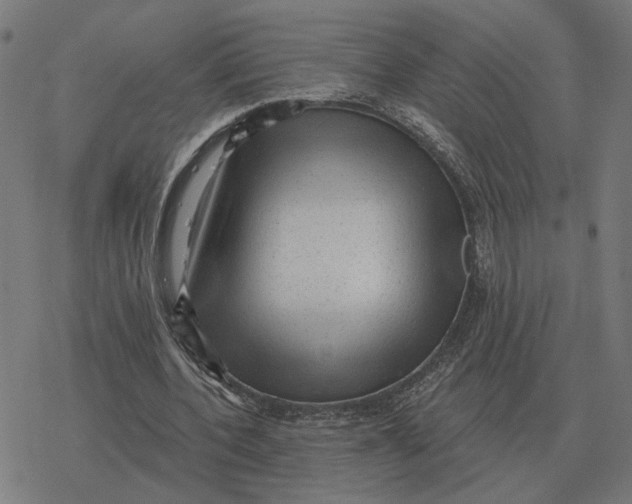 X0000077320532200611101500