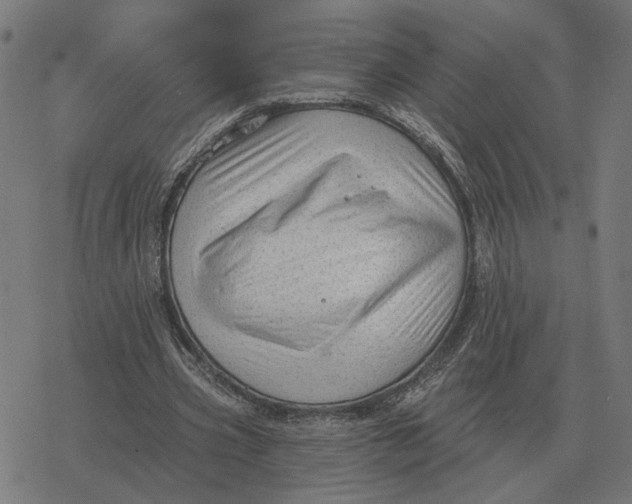 X0000077320533200611101500