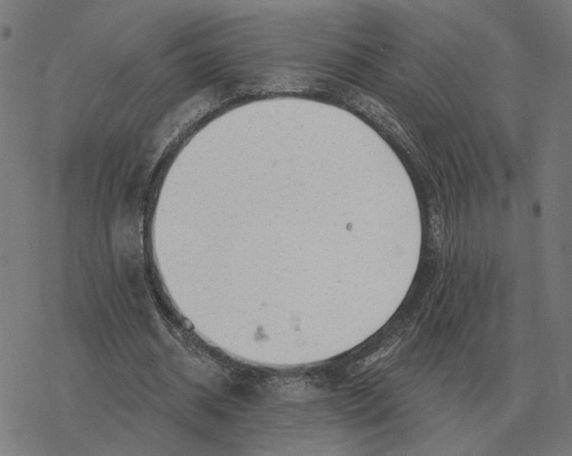 X0000077320534200611101500