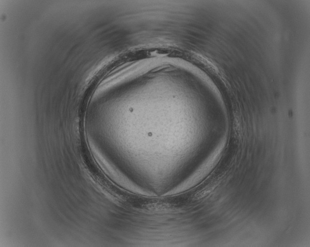 X0000077320535200611101500