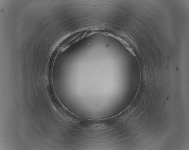 X0000077320536200611101500