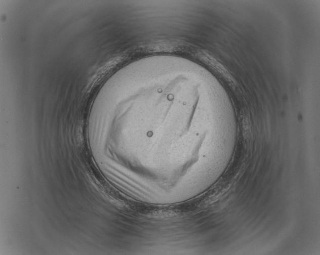 X0000077320537200611101500