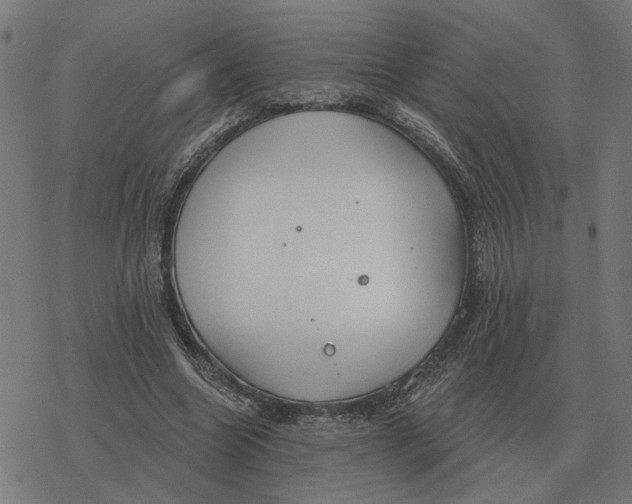 X0000077320538200611101500