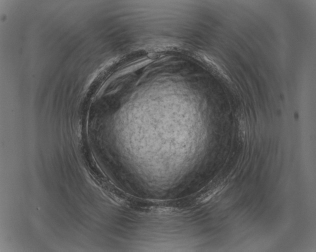 X0000077320539200611101500