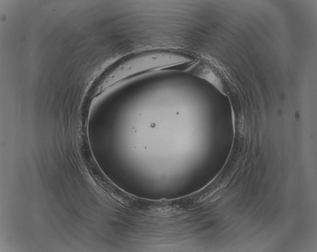 X0000077320540200611101500