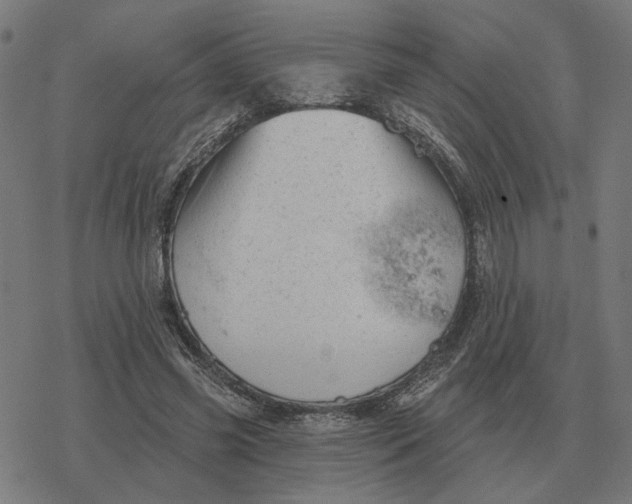 X0000077320541200611101500