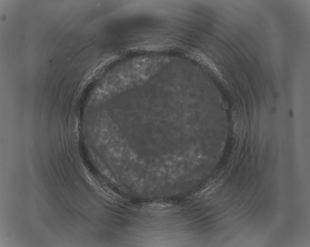 X0000077320542200611101500