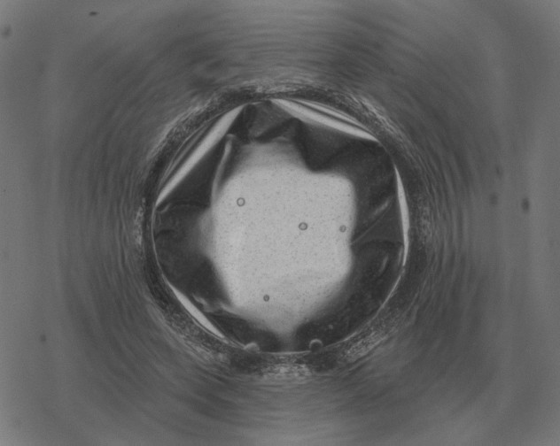 X0000077320543200611101500