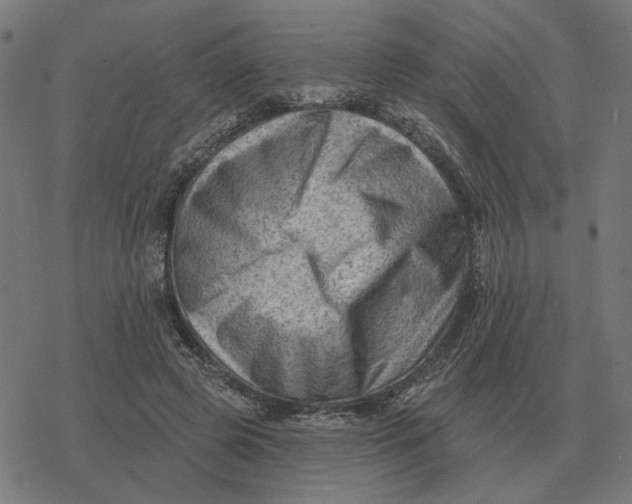 X0000077320545200611101500