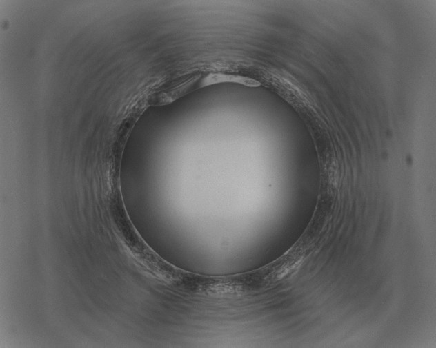 X0000077320546200611101501