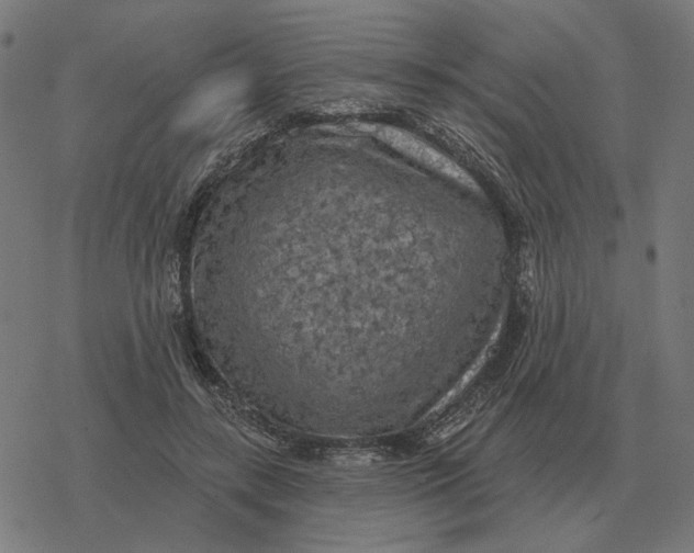 X0000077320547200611101501