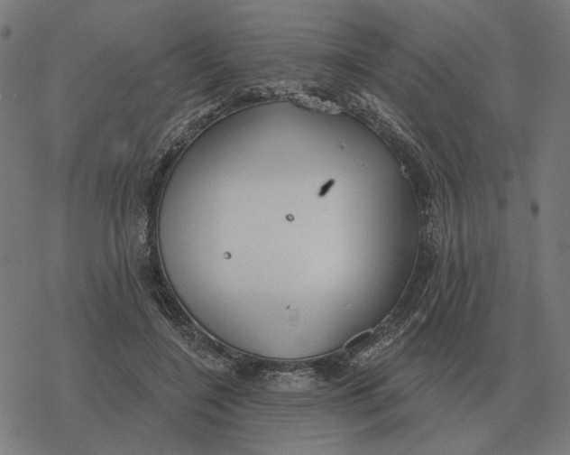 X0000077320548200611101501