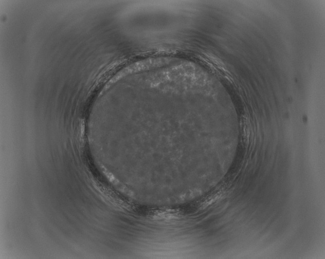 X0000077320550200611101501