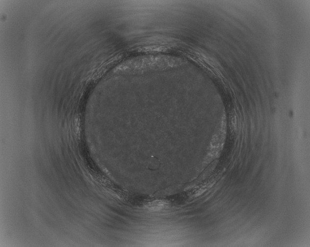 X0000077320551200611101501