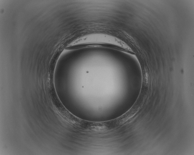 X0000077320552200611101501