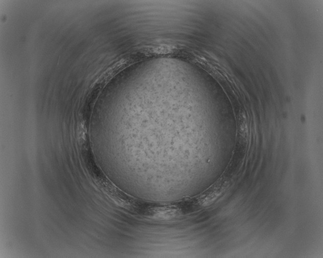 X0000077320555200611101501